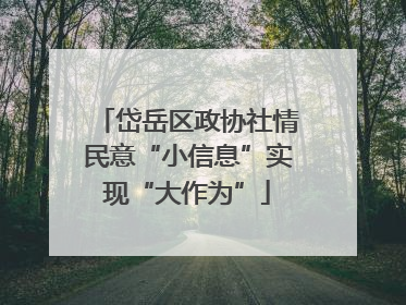 岱岳区政协社情民意“小信息”实现“大作为”