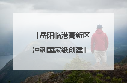 岳阳临港高新区冲刺国家级创建