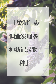 巢湖生态调查发现多种新记录物种