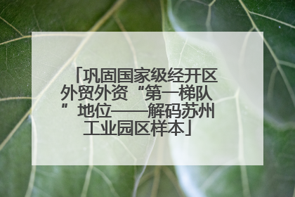 巩固国家级经开区外贸外资“第一梯队”地位——解码苏州工业园区样本