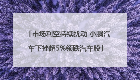 市场利空持续扰动 小鹏汽车下挫超5%领跌汽车股