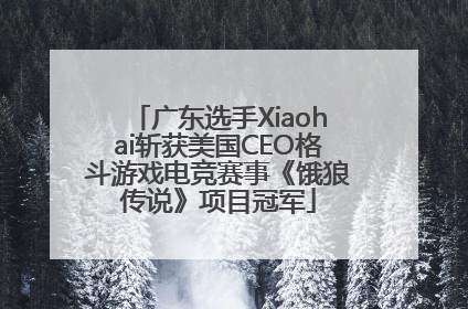 广东选手Xiaohai斩获美国CEO格斗游戏电竞赛事《饿狼传说》项目冠军
