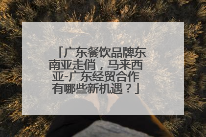 广东餐饮品牌东南亚走俏，马来西亚-广东经贸合作有哪些新机遇？