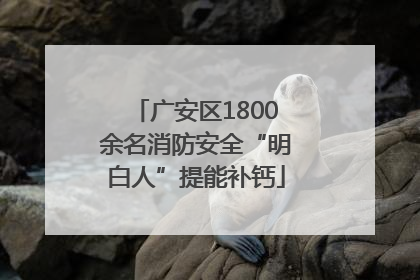 广安区1800余名消防安全“明白人”提能补钙