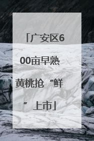 广安区600亩早熟黄桃抢“鲜”上市