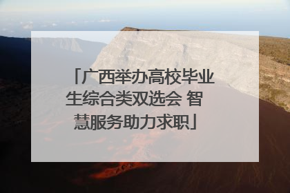 广西举办高校毕业生综合类双选会 智慧服务助力求职
