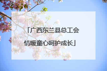 广西东兰县总工会情暖童心呵护成长