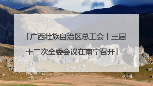 广西壮族自治区总工会十三届十二次全委会议在南宁召开