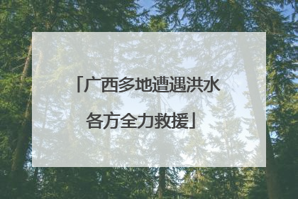 广西多地遭遇洪水 各方全力救援