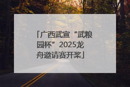 广西武宣“武粮园杯”2025龙舟邀请赛开桨