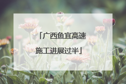 广西鱼宜高速施工进展过半