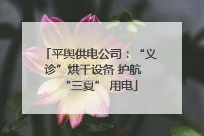 平舆供电公司：“义诊”烘干设备 护航 “三夏” 用电