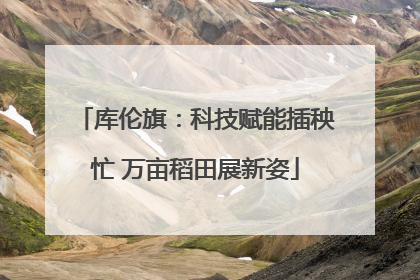 库伦旗：科技赋能插秧忙 万亩稻田展新姿