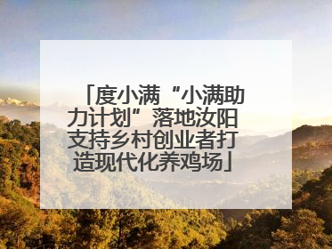 度小满“小满助力计划”落地汝阳支持乡村创业者打造现代化养鸡场