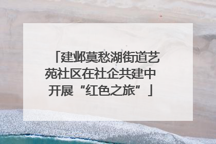 建邺莫愁湖街道艺苑社区在社企共建中开展“红色之旅”
