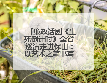 廉政话剧《生死倒计时》全省巡演走进保山：以艺术之笔书写清风正气
