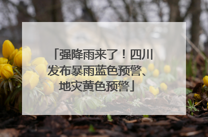 强降雨来了！四川发布暴雨蓝色预警、地灾黄色预警