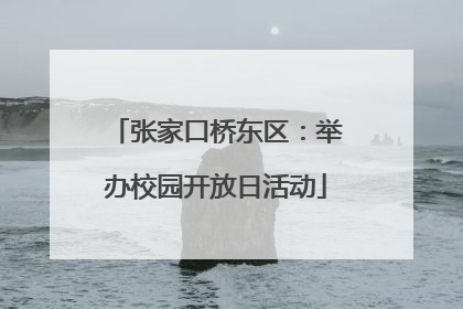 张家口桥东区：举办校园开放日活动
