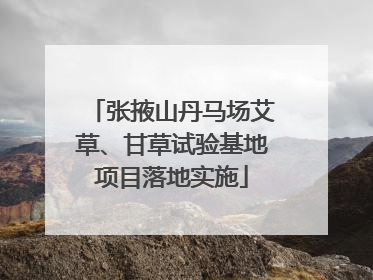 张掖山丹马场艾草、甘草试验基地项目落地实施