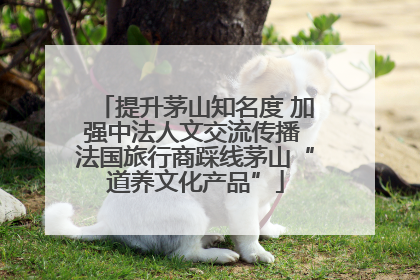 提升茅山知名度 加强中法人文交流传播 法国旅行商踩线茅山“道养文化产品”