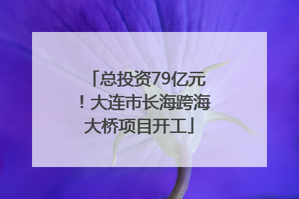 总投资79亿元！大连市长海跨海大桥项目开工