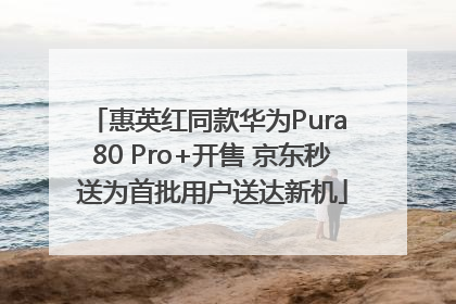 惠英红同款华为Pura 80 Pro+开售 京东秒送为首批用户送达新机