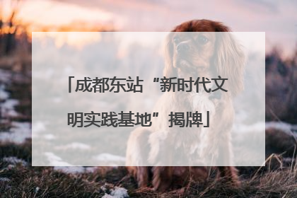 成都东站“新时代文明实践基地”揭牌