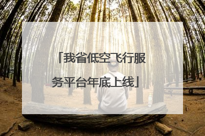 我省低空飞行服务平台年底上线