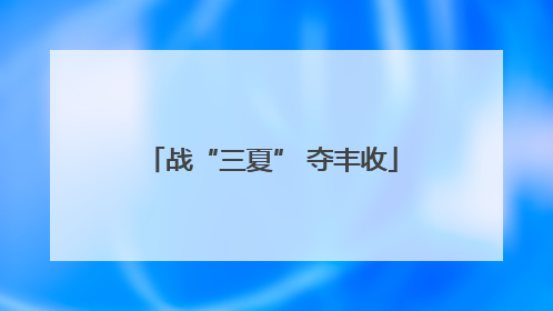 战“三夏” 夺丰收