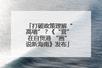 打破政策理解“高墙”？《“营”在自贸港 “画”说新海南》发布