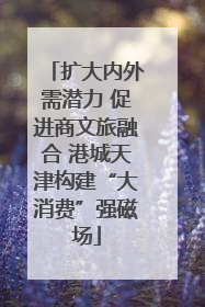 扩大内外需潜力 促进商文旅融合 港城天津构建“大消费”强磁场