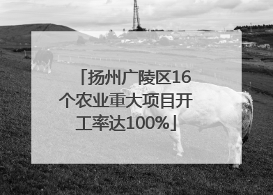 扬州广陵区16个农业重大项目开工率达100%