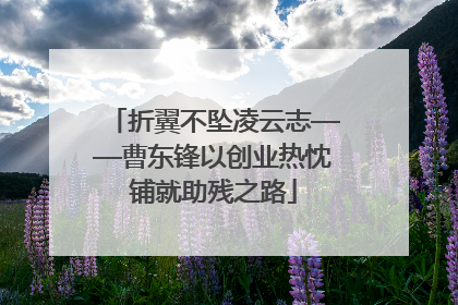 折翼不坠凌云志——曹东锋以创业热忱铺就助残之路