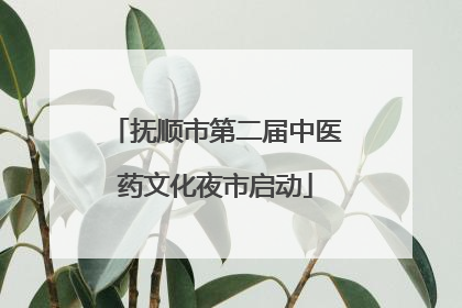 抚顺市第二届中医药文化夜市启动