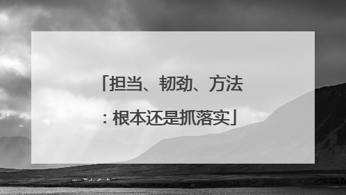 担当、韧劲、方法：根本还是抓落实