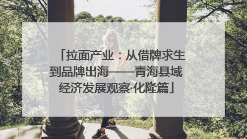 拉面产业：从借牌求生到品牌出海——青海县域经济发展观察·化隆篇