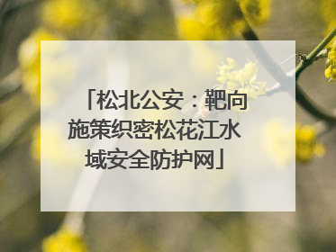 松北公安：靶向施策织密松花江水域安全防护网