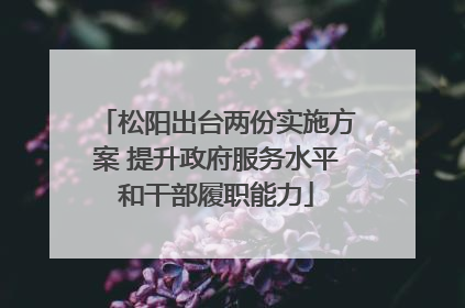 松阳出台两份实施方案 提升政府服务水平和干部履职能力