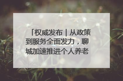 权威发布｜从政策到服务全面发力，聊城加速推进个人养老金制度落地