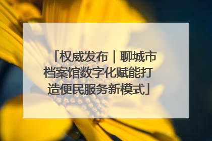 权威发布｜聊城市档案馆数字化赋能打造便民服务新模式