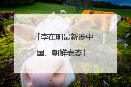 李在明最新涉中国、朝鲜表态