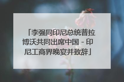 李强同印尼总统普拉博沃共同出席中国－印尼工商界晚宴并致辞