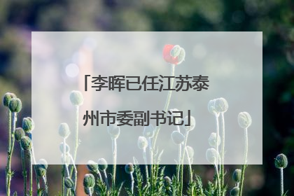 李晖已任江苏泰州市委副书记