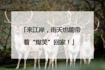 来江岸，雨天也能带着“爆笑”回家！