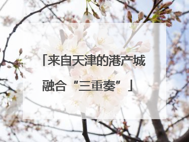 来自天津的港产城融合“三重奏”