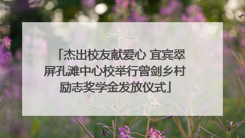 杰出校友献爱心 宜宾翠屏孔滩中心校举行曾剑乡村励志奖学金发放仪式