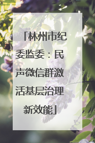 林州市纪委监委：民声微信群激活基层治理新效能