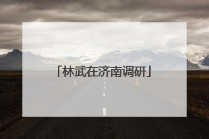 林武在济南调研