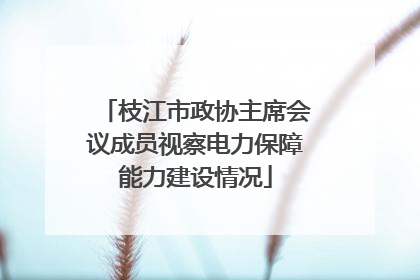 枝江市政协主席会议成员视察电力保障能力建设情况