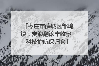 枣庄市薛城区邹坞镇：麦浪翻滚丰收景 科技护航保归仓